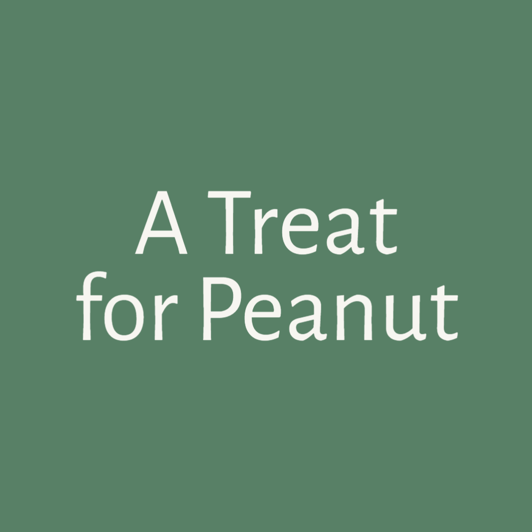 A Treat for Peanut